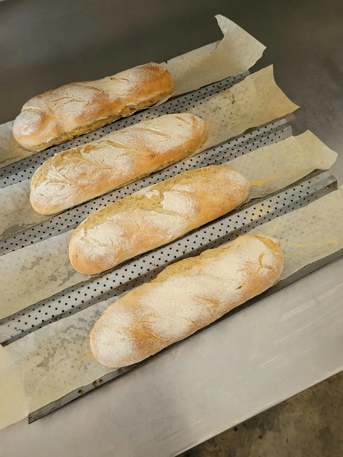Four baked baguettes cooling on perforated bakery trays.